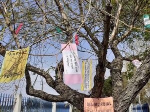 Dia Mundial da Floresta e o Dia Mundial da Poesia