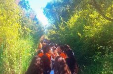 Mais um registo deste dia solarengo!