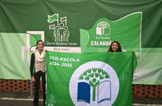 Colégio Dinis de Melo distinguido com o Galardão Eco-Escolas 2025